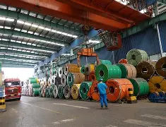 开云在线-今晚辽宁本钢调整名单以备荷甲，队长鼓劲环节打磨，媒体盛赞，临场指挥获称赞的简单介绍